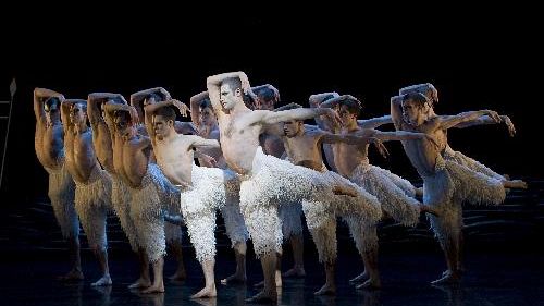 10° FQF: Matthew Bourne’s Swan Lake3D di McGibbon