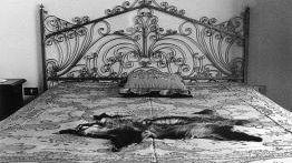 Cotone e Poggetto: mostra fotografica di Waris Grifi, dal 15 al 22 giugno 2007 a Palazzo Cerretani, Piazza dell’Unità d’Italia, 1 - Firenze