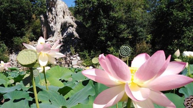 Pratolino: la riapertura del Parco di Villa Demidoff a fine maggio