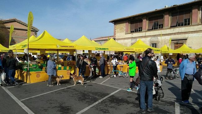 In Piazza Indipendenza e alle Cascine un nuovo mercato settimanale