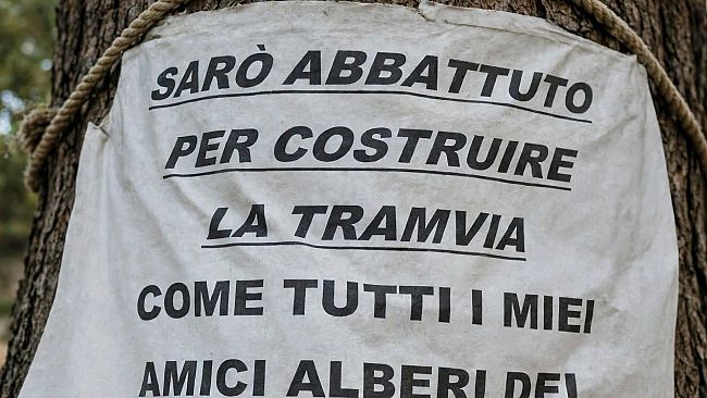 Campo di Marte: rivolta contro il taglio degli alberi per la tramvia 