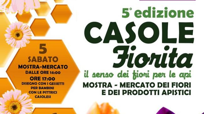 Casole fiorita e il senso dei fiori per le api