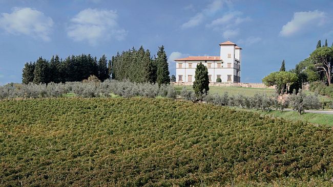 2019, una vendemmia da manuale