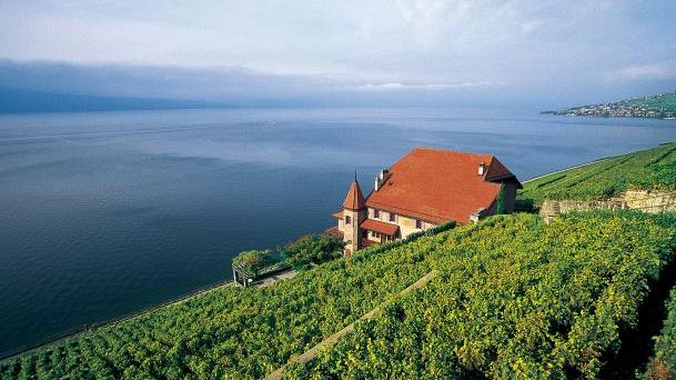 Losanna: una città tutta da scoprire