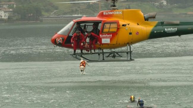 A quattro zampe nelle onde: cani eroi della Sics in un libro