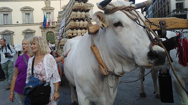 Vino: il Carro Matto a Firenze sabato 26 settembre