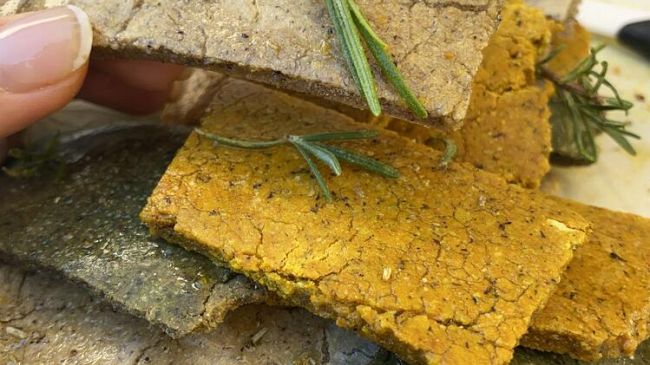 Terre di Pisa Food and Wine Festival