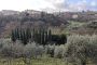 usucapione-di-un-terreno-dopo-un-possesso-ultraventennale