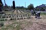 agricoltura-sociale-dalla-regione-11-mila-per-un-progetto-rivolto-a-profughi-e-disabili